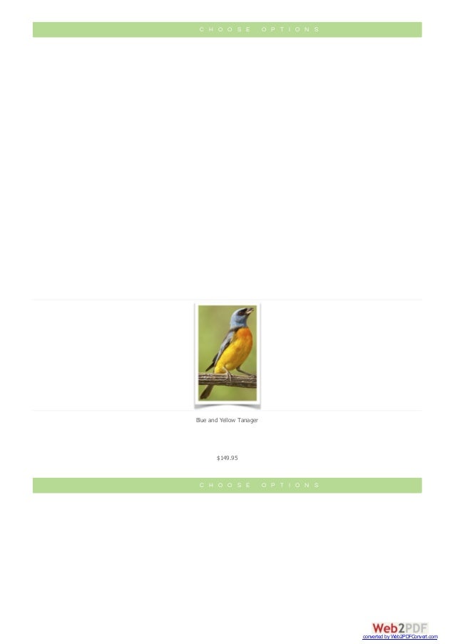 Finches The Finch Farm