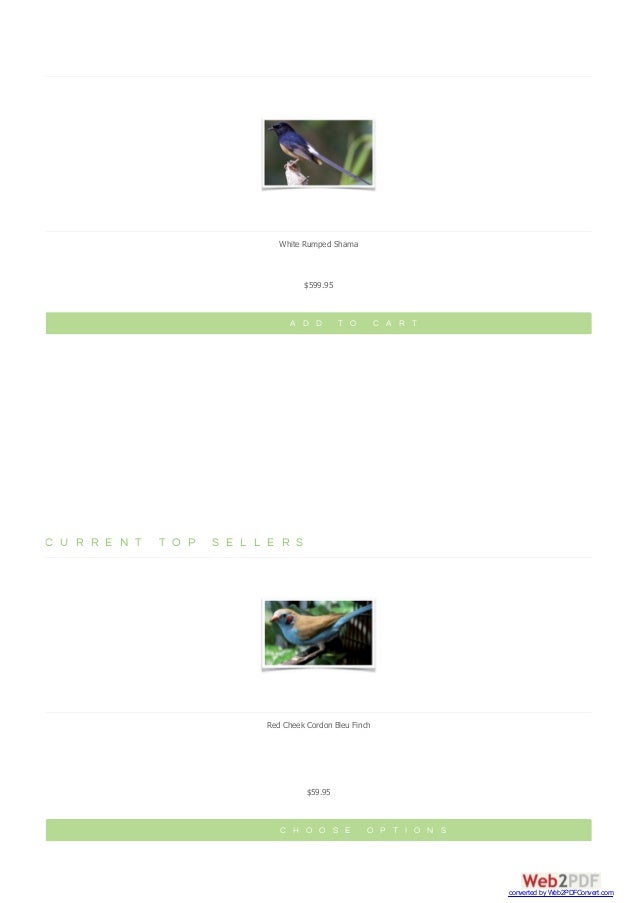 Finches The Finch Farm