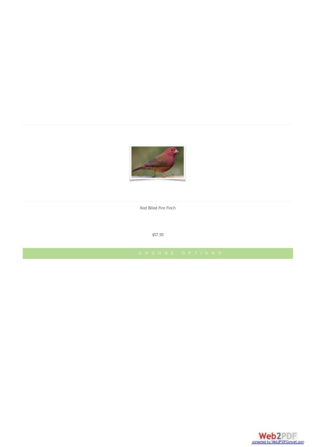 Finches The Finch Farm