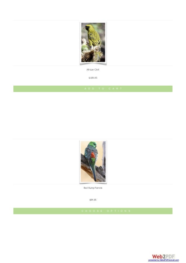 Finches The Finch Farm