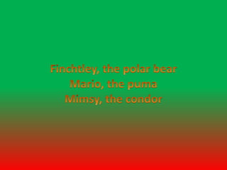 Finchtley, the polar bearMario, the pumaMimsy, thecondor 