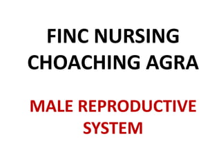 FINC NURSING
CHOACHING AGRA
MALE REPRODUCTIVE
SYSTEM
 