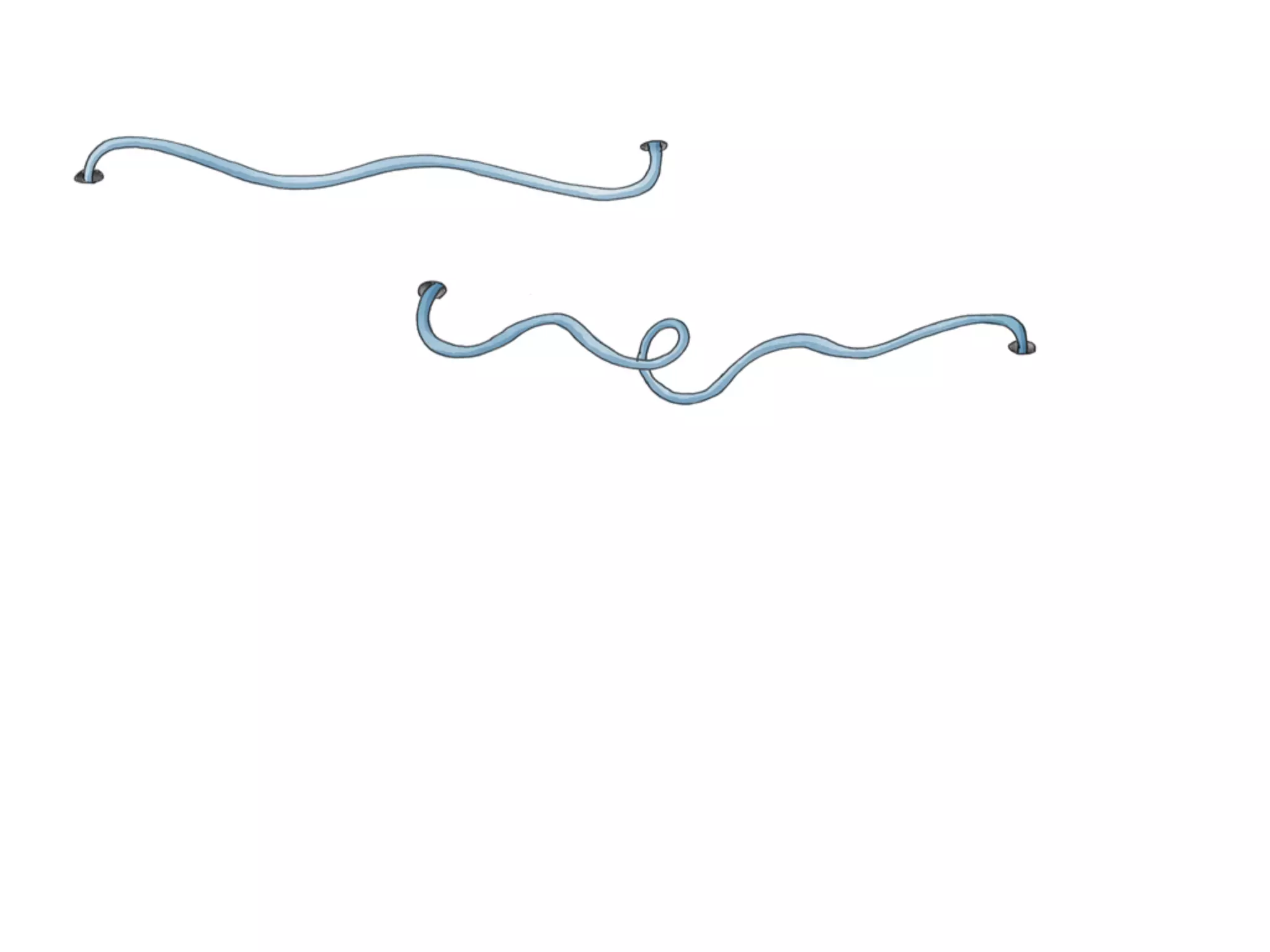 (and the tail is quite long)
 