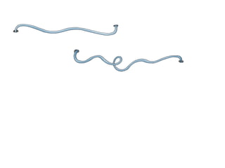 (and the tail is quite long)
 