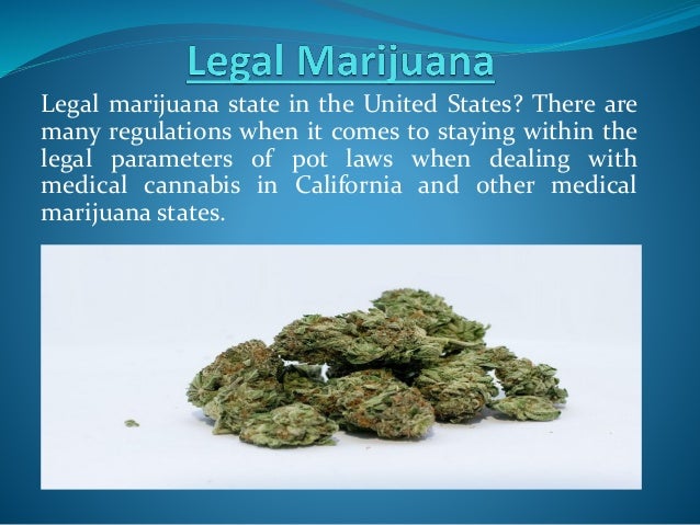 How To Find A Dealer >> Find A Pot Dealer Near You How To Find A Dealer >> Find A Pot Dealer Near You