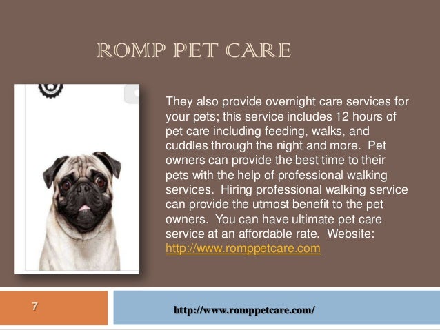 Best Dog Walkers Philadelphia Best Dog Walkers Philadelphia