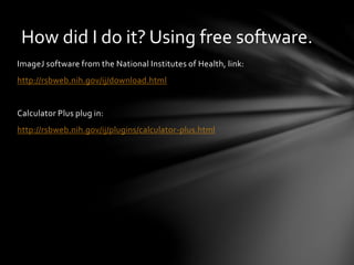 imagej software from national institute of health.