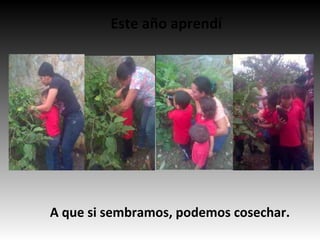 Este año aprendí
A que si sembramos, podemos cosechar.
 