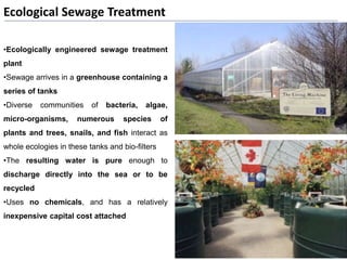 Ecological Sewage Treatment
•Ecologically engineered sewage treatment
plant
•Sewage arrives in a greenhouse containing a
series of tanks
•Diverse communities of bacteria, algae,
micro-organisms, numerous species of
plants and trees, snails, and fish interact as
whole ecologies in these tanks and bio-filters
•The resulting water is pure enough to
discharge directly into the sea or to be
recycled
•Uses no chemicals, and has a relatively
inexpensive capital cost attached
 