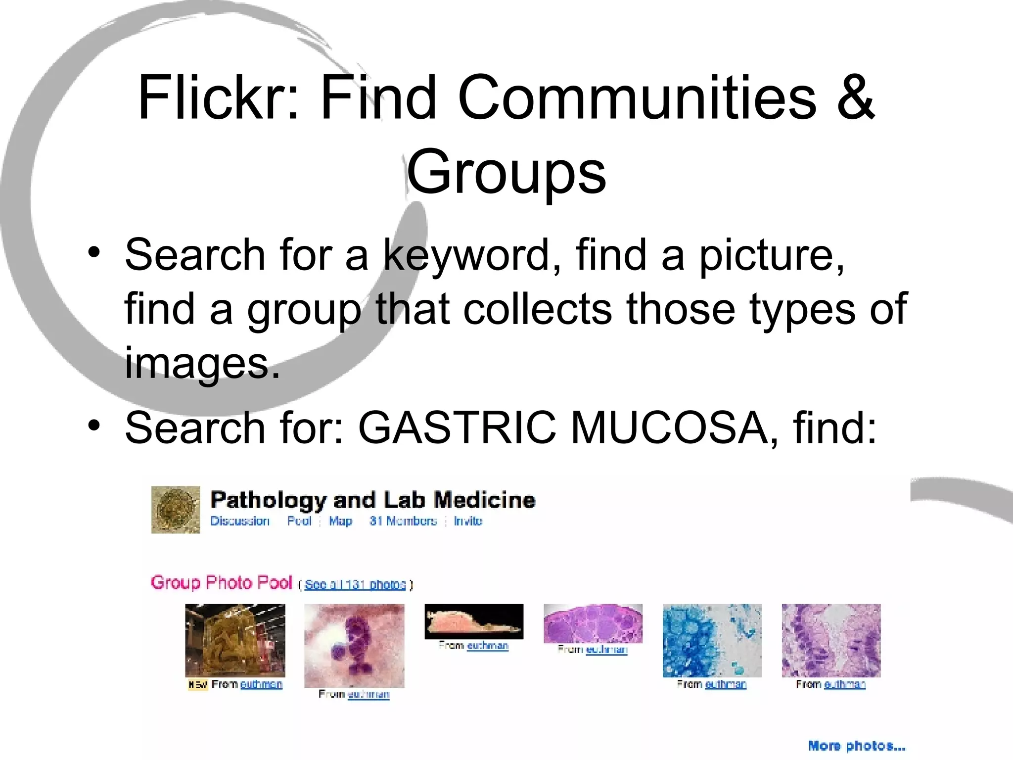 Flickr: Find Communities & Groups Search for a keyword, find a picture, find a group that collects those types of images. Search for: GASTRIC MUCOSA, find: 