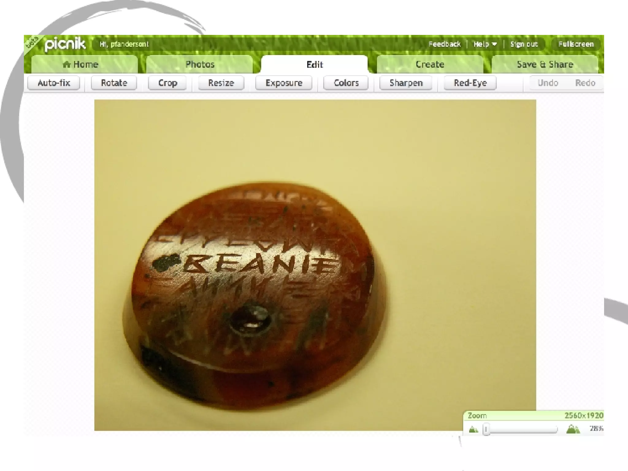 Picnik Picnik editing view 