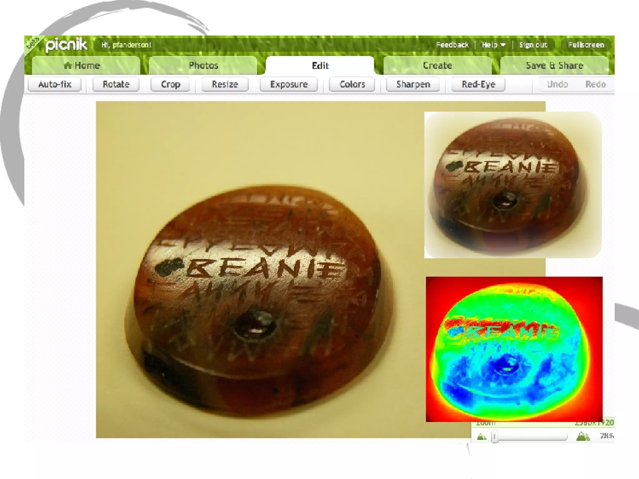 Picnik Picnik editing view & example edits 