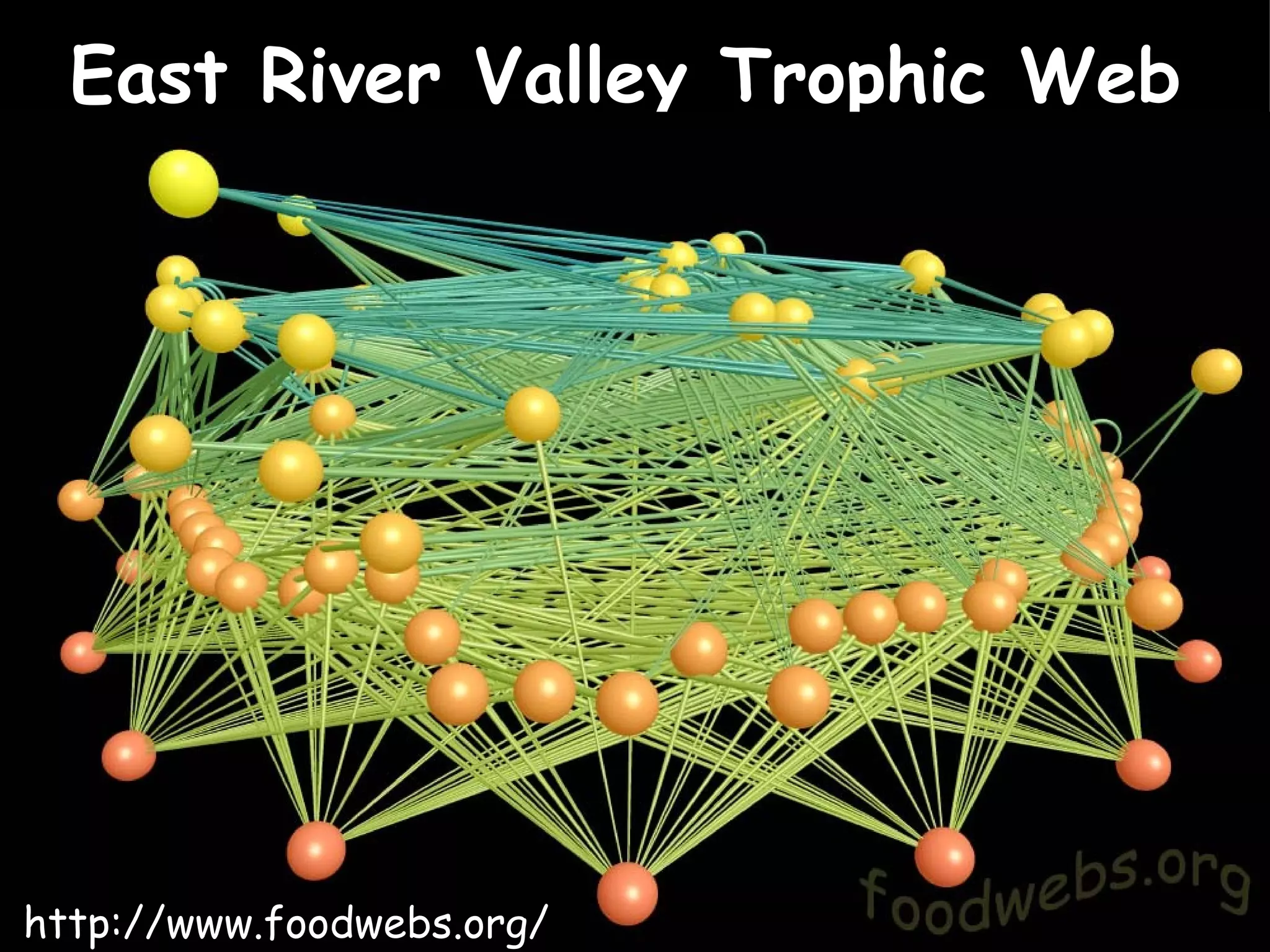 East River Valley Trophic Web   http://www.foodwebs.org/ 