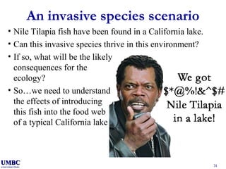 An invasive species scenario Nile Tilapia fish have been found in a California lake. Can this invasive species thrive in this environment? If so, what will be the likely consequences for the ecology? So…we need to understand the effects of introducing this fish into the food web of a typical California lake 