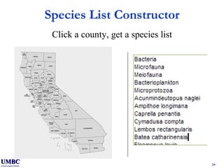 Species List Constructor Click a county, get a species list 