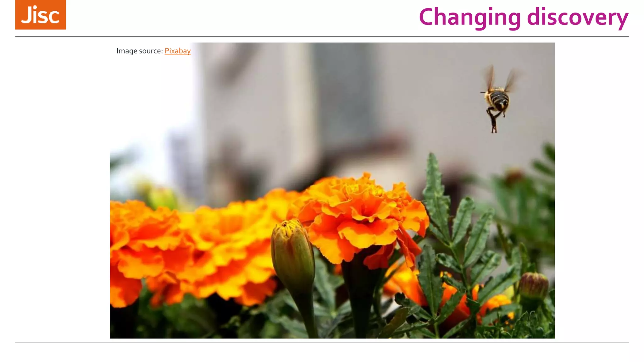 Changing discovery
Image source: Pixabay
 