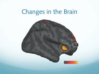 Changes in the Brain
 