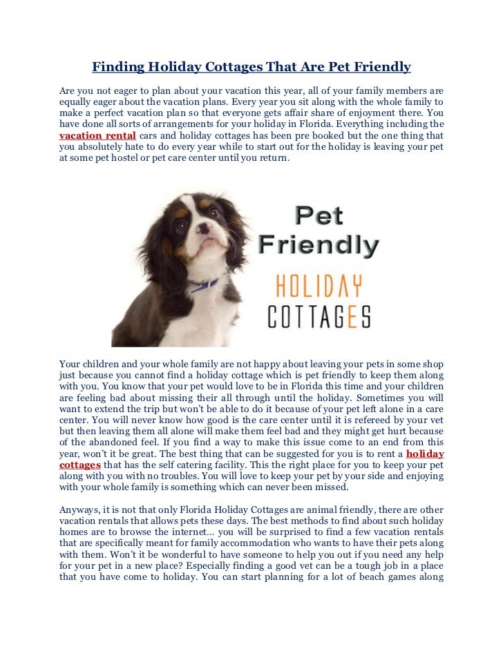 dog friendly holiday apartments