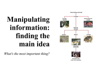 Manipulating
information:
finding the
main idea
What's the most important thing?
 