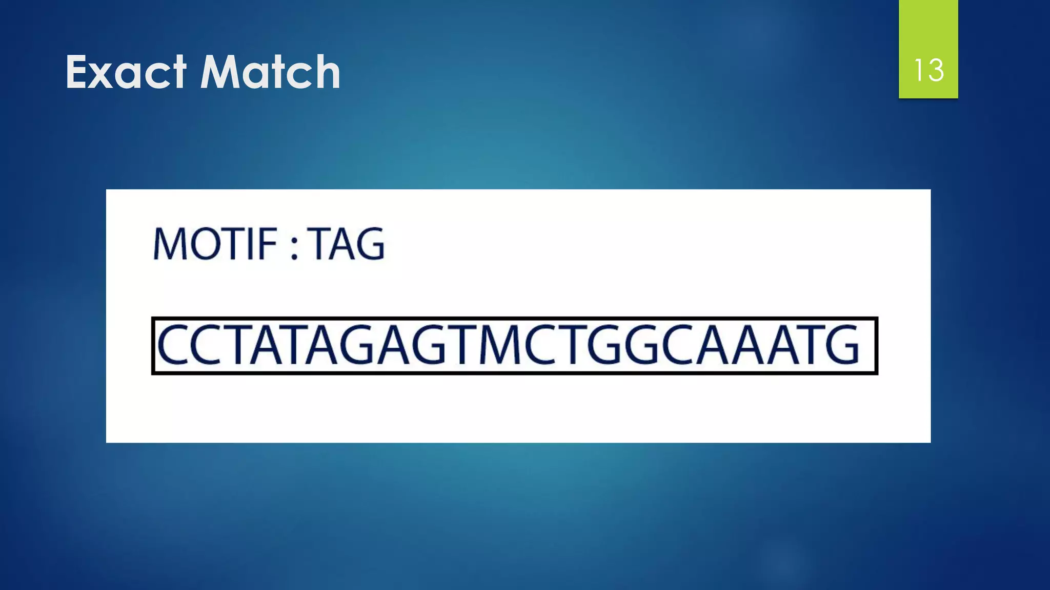 Exact Match 13
 