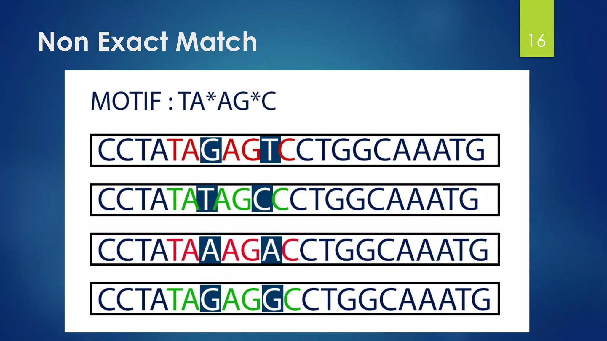 Non Exact Match 16
 