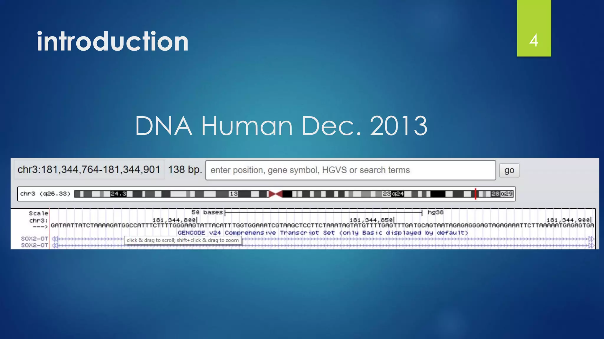 introduction
DNA Human Dec. 2013
4
 