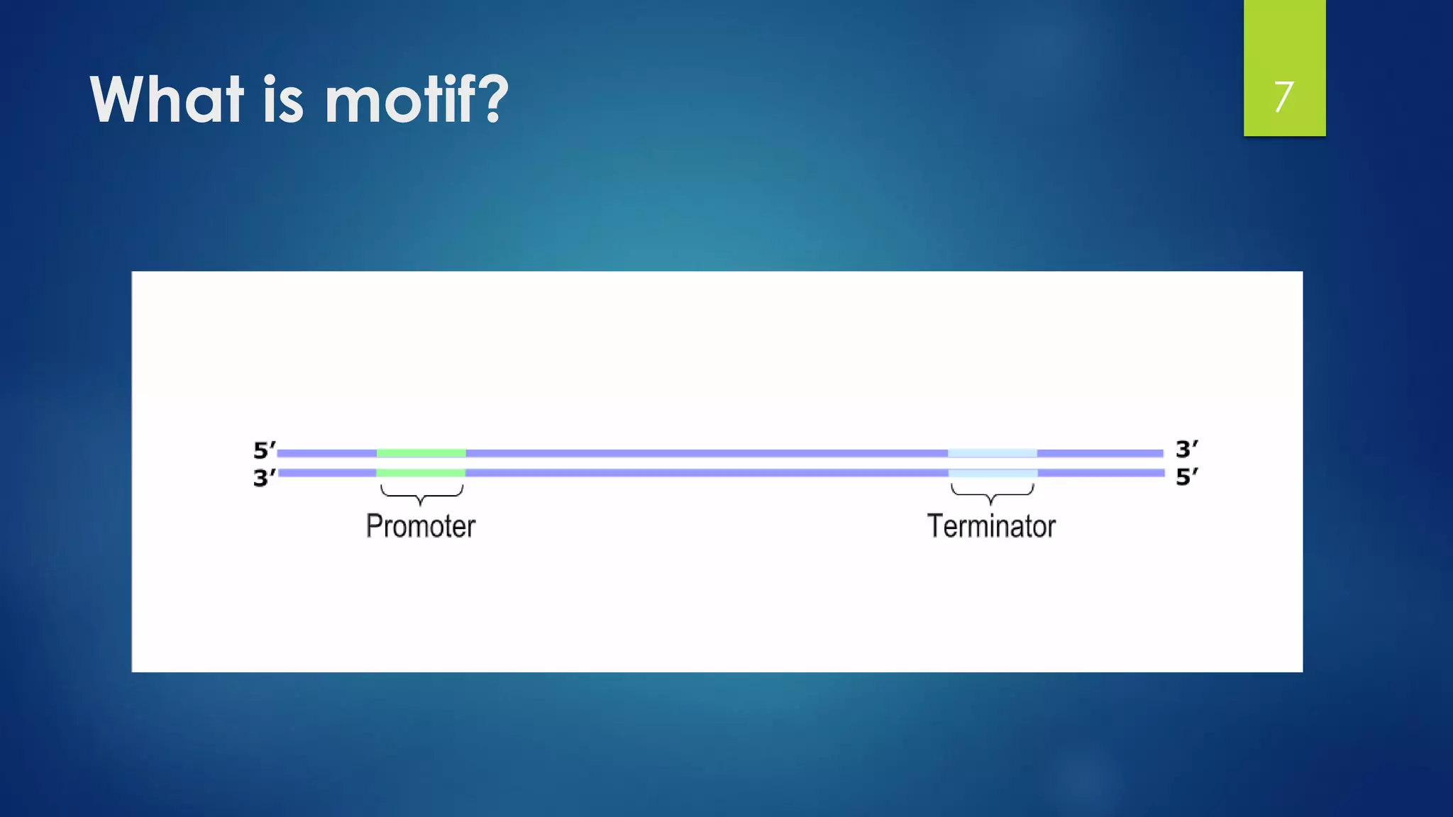 What is motif? 7
 