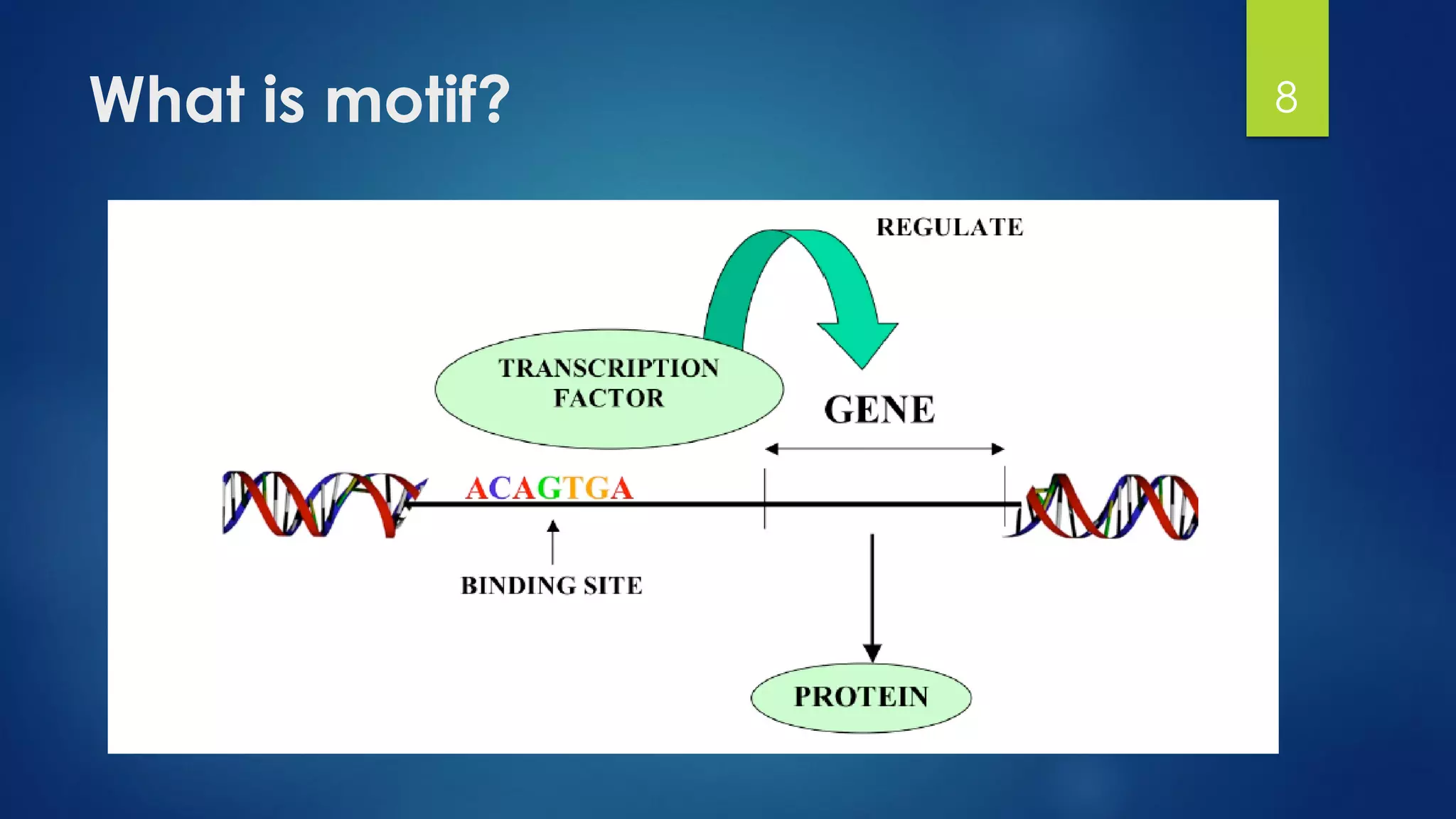 What is motif? 8
 