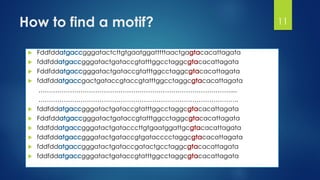 How to find a motif?
 Fddfdd gggatactcttgtgaatggatttttaactga cacattagata
 fddfdd gggatactgataccgtatttggcctaggc cacattagata
 Fddfdd gggatactgataccgtatttggcctaggc cacattagata
 fddfdd gactgataccgtaccgtatttggcctaggc cacattagata
……………………………………………………………………………….....
…………………………………………………………………………………..
 fddfdd gggatactgataccgtatttggcctaggc cacattagata
 Fddfdd gggatactgataccgtatttggcctaggc cacattagata
 fddfdd gggatactgatacccttgtgaatggattgc cacattagata
 fddfdd gggatactgataccgtgatacccctaggc cacattagata
 fddfdd gggatactgataccgatactgcctaggc cacattagata
 fddfdd gggatactgataccgtatttggcctaggc cacattagata
11
 