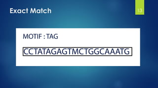 Exact Match 13
 