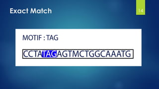 Exact Match 14
 