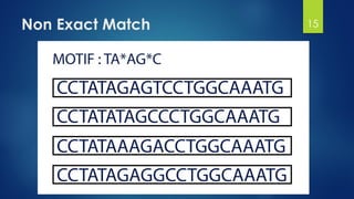 Non Exact Match 15
 