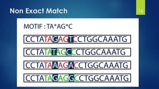 Non Exact Match 16
 