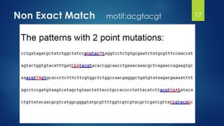 Non Exact Match motif:acgtacgt 17
 