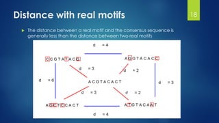 Distance with real motifs
 The distance between a real motif and the consensus sequence is
generally less than the distance between two real motifs
18
 