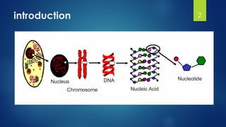 introduction 2
 