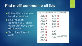 Find motif common to all lists
 Follow this procedure
for all sequences
 Find the motif
common all Li (once
duplicates have been
eliminated)
 This is the planted
motif
44
 
