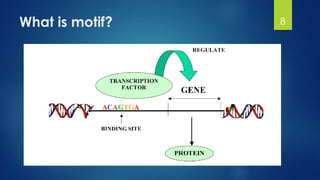What is motif? 8
 