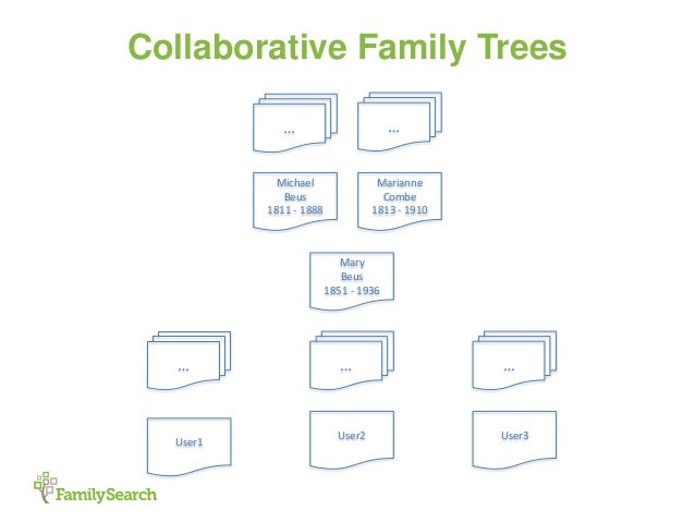search for my family tree