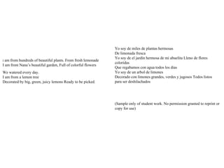 I am from hundreds of beautiful plants. From fresh lemonade
I am from Nana’s beautiful garden, Full of colorful flowers
We watered every day.
I am from a lemon tree
Decorated by big, green, juicy lemons Ready to be picked.
Yo soy de miles de plantas hermosas
De limonada fresca
Yo soy de el jardín hermosa de mi abuelita Lleno de flores
coloridas
Que regabamos con agua todos los dias
Yo soy de un arbol de limones
Decorado con limones grandes, verdes y jugosos Todos listos
para ser deshilachados
(Sample only of student work. No permission granted to reprint or
copy for use)
 