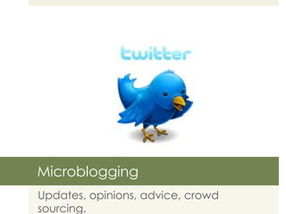 Microblogging Updates, opinions, advice, crowd sourcing. 