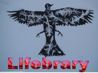 Lifebrary http://www.flickr.com/photos/bertabetti/96068714/ 