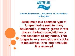 FINDING PROFESSIONAL SOLUTIONS TO FIGHT MOLDS
IN TORONTO
Black mold is a common type of
fungus that is seen in many
households. It mainly grows in wet
places like bathroom, kitchen or
the basement of any house. This
fungus is very annoying and sticks
to the surface for a long time until
it is removed
 
