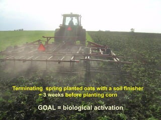 Terminating spring planted oats with a soil finisher
          ~ 3 weeks before planting corn

          GOAL = biological activation
 