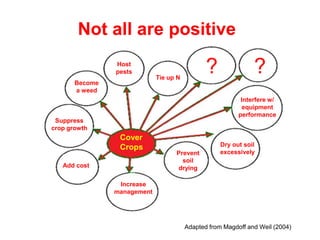 Not all are positive
                Host
                pests
                             Tie up N
                                               ?               ?
       Become
       a weed
                                                           Interfere w/
                                                            equipment
                                                          performance
 Suppress
crop growth
                 Cover
                 Crops                              Dry out soil
                                   Prevent          excessively
                                     soil
   Add cost                        drying

                 Increase
                management




                                        Adapted from Magdoff and Weil (2004)
 