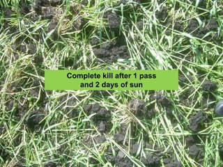 Complete kill after 1 pass
   and 2 days of sun
 