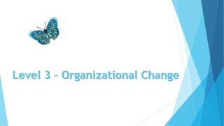 Level 3 – Organizational Change
 