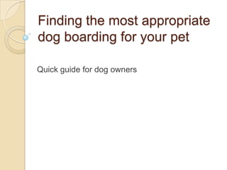 Finding the most appropriate dog boarding for your pet Quick guide for dog owners 