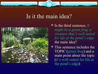 Is it the main idea?
 Is the third sentence, It
might be a green frog, a
creature that’s well-suited
for life at the pond’s edge
the main idea?
 This sentence includes the
TOPIC (green frog) and a
main point about the topic
(it’s well-suited for life at
the pond’s edge)
 