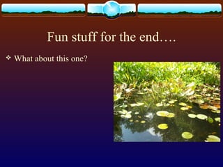 Fun stuff for the end….
 What about this one?
 